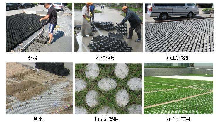 現(xiàn)澆植草地坪施工流程及效果