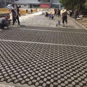 重慶混凝土植草地坪施工客戶(hù)見(jiàn)證